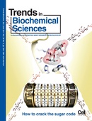 Cover der Juni-Ausgabe der Zeitschrift "Trends in Biochemichal Sciences"